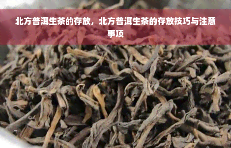 北方普洱生茶的存放，北方普洱生茶的存放技巧与注意事项