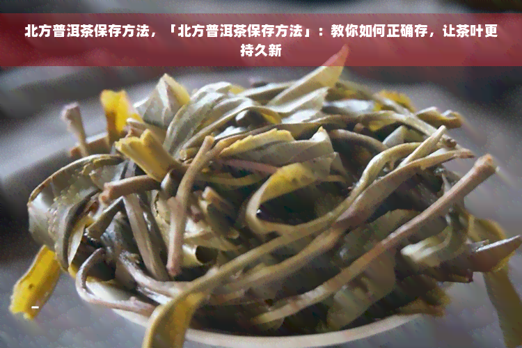 北方普洱茶保存方法，「北方普洱茶保存方法」：教你如何正确存，让茶叶更持久新