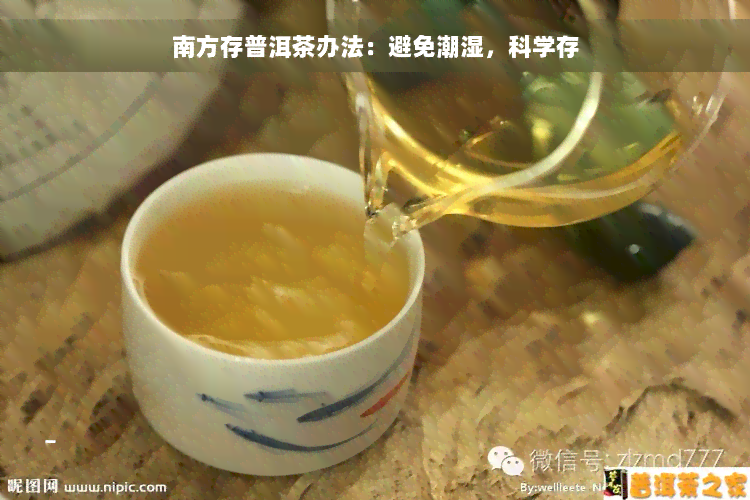 南方存普洱茶办法：避免潮湿，科学存