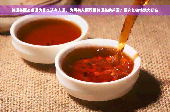 普洱茶那么难喝为什么还有人喝，为何有人愿忍受普洱茶的苦涩？探究其独特魅力所在