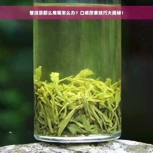 普洱茶那么难喝怎么办？口感改善技巧大揭秘！