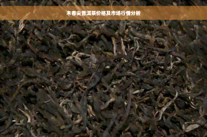 木春尖普洱茶价格及市场行情分析