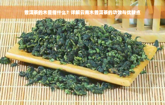 普洱茶的木是指什么？详解云南木普洱茶的功效与优缺点