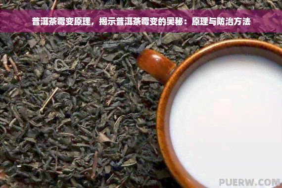 普洱茶霉变原理，揭示普洱茶霉变的奥秘：原理与防治方法