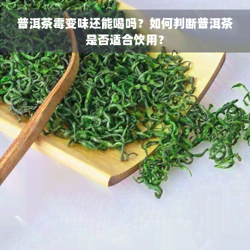 普洱茶霉变味还能喝吗？如何判断普洱茶是否适合饮用？