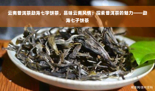 云南普洱茶勐海七字饼茶，品味云南风情：探索普洱茶的魅力——勐海七子饼茶