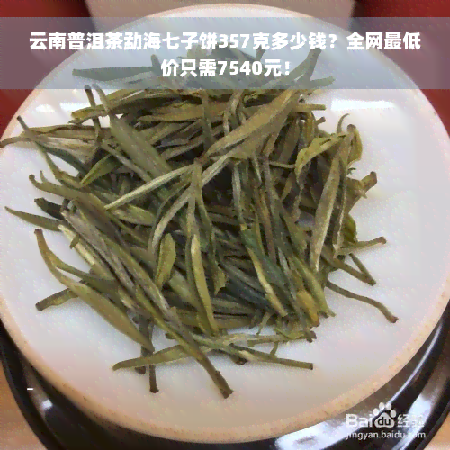 云南普洱茶勐海七子饼357克多少钱？全网更低价只需7540元！