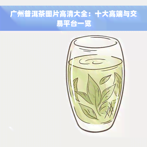 广州普洱茶图片高清大全：十大高端与交易平台一览