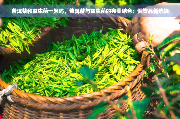 普洱茶和益生菌一起喝，普洱茶与益生菌的完美结合：健饮品新选择