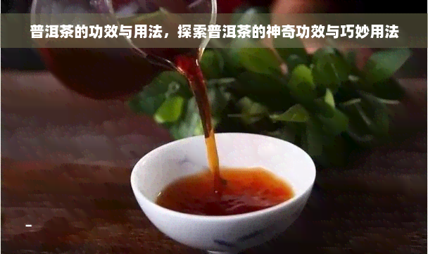 普洱茶的功效与用法，探索普洱茶的神奇功效与巧妙用法