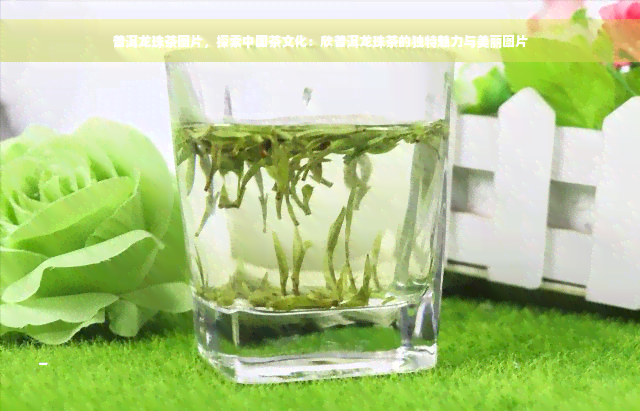 普洱龙珠茶图片，探索中国茶文化：欣普洱龙珠茶的独特魅力与美丽图片