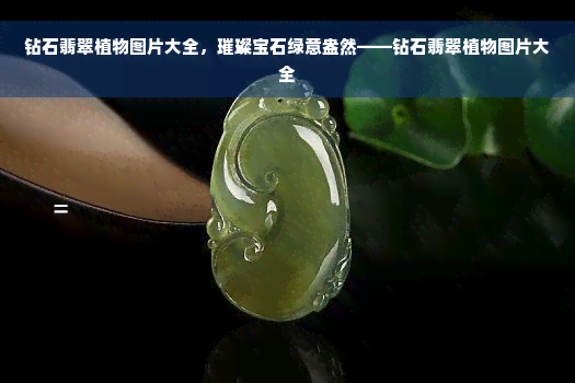 钻石翡翠植物图片大全，璀璨宝石绿意盎然——钻石翡翠植物图片大全