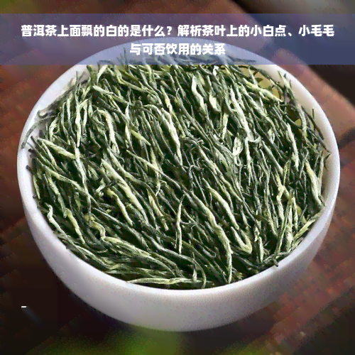 普洱茶上面飘的白的是什么？解析茶叶上的小白点、小毛毛与可否饮用的关系