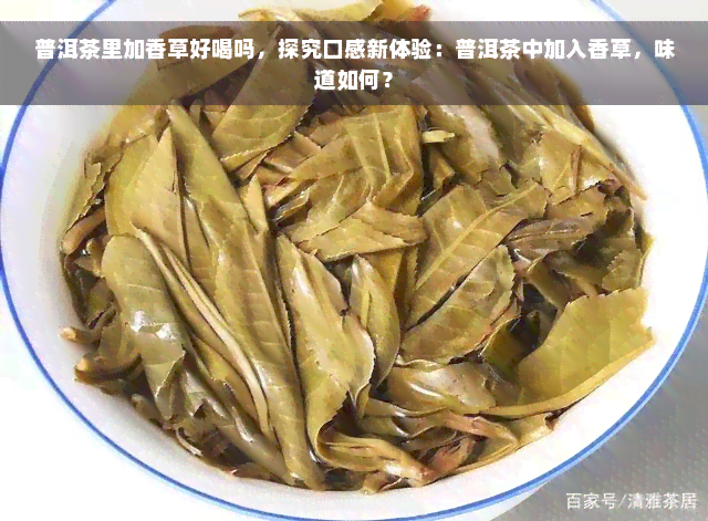 普洱茶里加香草好喝吗，探究口感新体验：普洱茶中加入香草，味道如何？