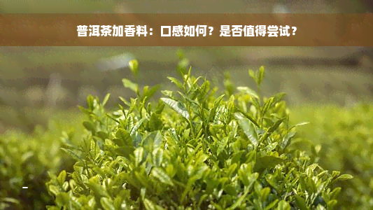 普洱茶加香料：口感如何？是否值得尝试？