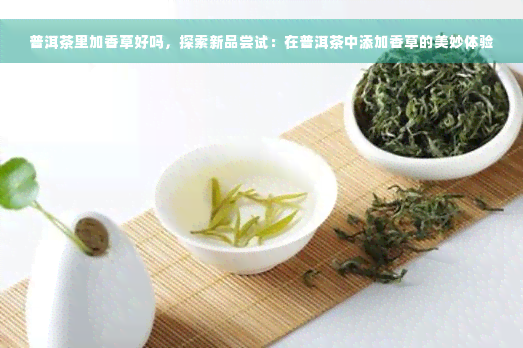 普洱茶里加香草好吗，探索新品尝试：在普洱茶中添加香草的美妙体验