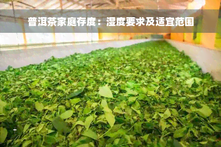 普洱茶家庭存度：湿度要求及适宜范围