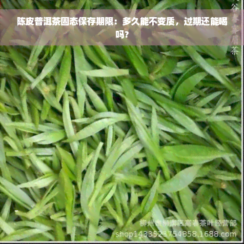 陈皮普洱茶固态保存期限：多久能不变质，过期还能喝吗？