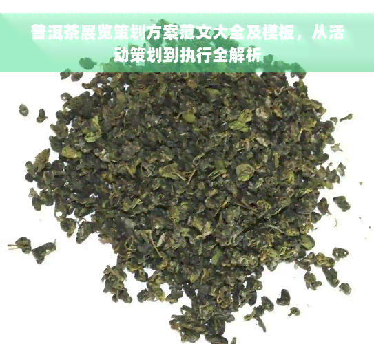 普洱茶展览策划方案范文大全及模板，从活动策划到执行全解析