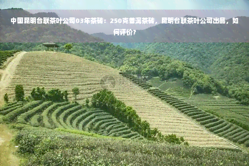 中国昆明台联茶叶公司03年茶砖：250克普洱茶砖，昆明台联茶叶公司出品，如何评价？