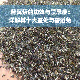 普洱茶的功效与禁忌症：详解其十大益处与需避免的情况