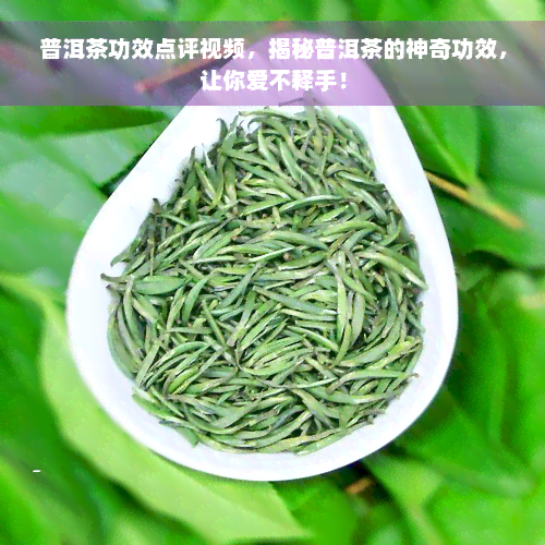 普洱茶功效点评视频，揭秘普洱茶的神奇功效，让你爱不释手！