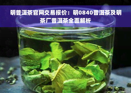 明普洱茶官网交易报价：明0840普洱茶及明茶厂普洱茶全面解析