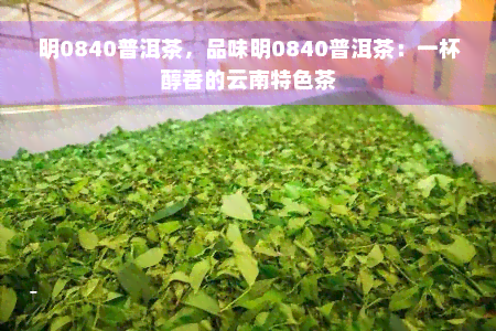 明0840普洱茶，品味明0840普洱茶：一杯醇香的云南特色茶