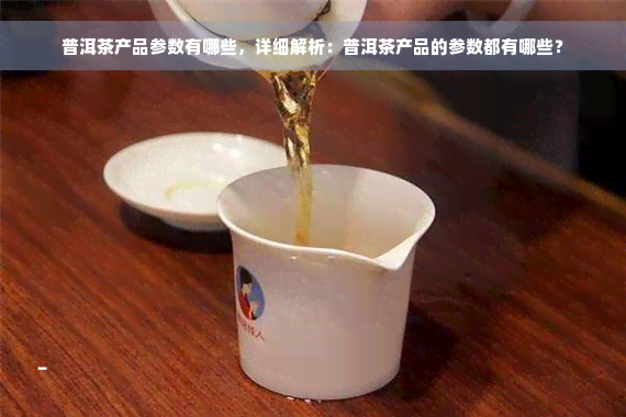 普洱茶产品参数有哪些，详细解析：普洱茶产品的参数都有哪些？