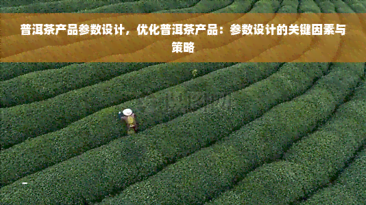 普洱茶产品参数设计，优化普洱茶产品：参数设计的关键因素与策略