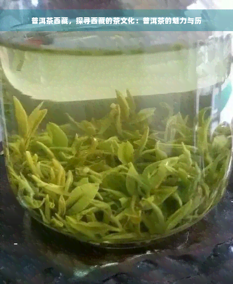 普洱茶 *** ，探寻 *** 的茶文化：普洱茶的魅力与历