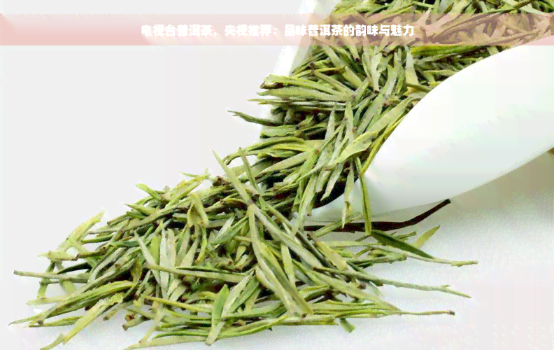 电视台普洱茶，央视推荐：品味普洱茶的韵味与魅力