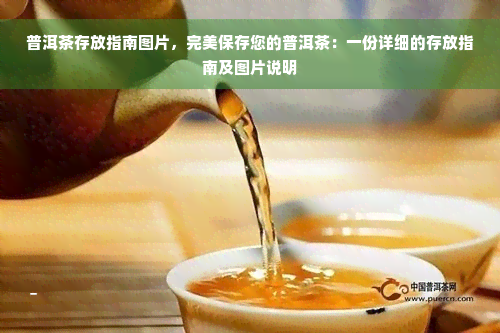 普洱茶存放指南图片，完美保存您的普洱茶：一份详细的存放指南及图片说明