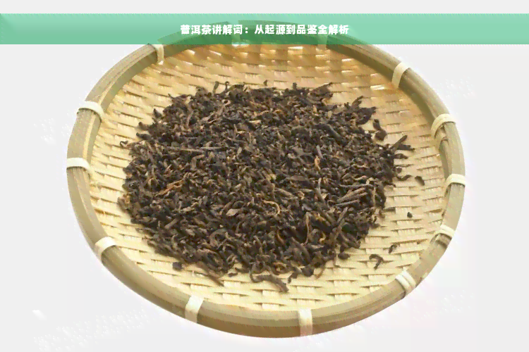 普洱茶讲解词：从起源到品鉴全解析