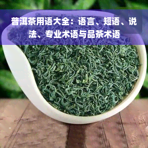 普洱茶用语大全：语言、短语、说法、专业术语与品茶术语