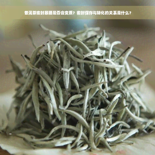 普洱茶密封暴晒是否会变质？密封保存与转化的关系是什么？