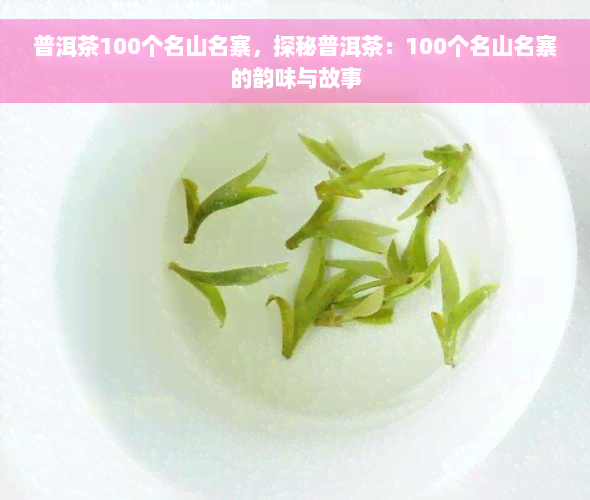 普洱茶100个名山名寨，探秘普洱茶：100个名山名寨的韵味与故事