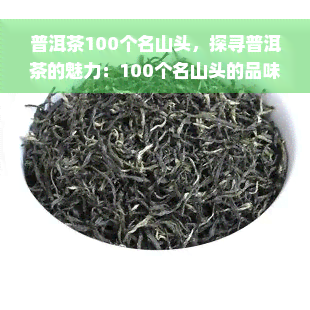 普洱茶100个名山头，探寻普洱茶的魅力：100个名山头的品味之旅