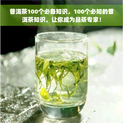 普洱茶100个必备知识，100个必知的普洱茶知识，让你成为品茶专家！