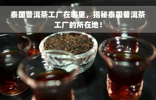 泰国普洱茶工厂在哪里，揭秘泰国普洱茶工厂的所在地！