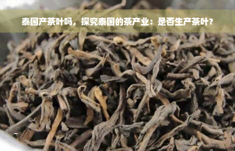 泰国产茶叶吗，探究泰国的茶产业：是否生产茶叶？