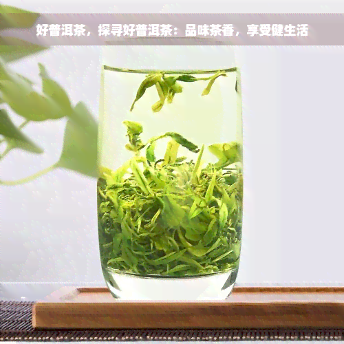 好普洱茶，探寻好普洱茶：品味茶香，享受健生活