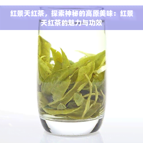 红景天红茶，探索神秘的高原美味：红景天红茶的魅力与功效