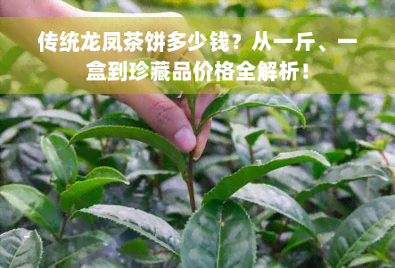 传统龙凤茶饼多少钱？从一斤、一盒到珍藏品价格全解析！