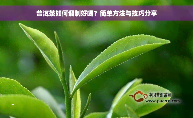 普洱茶如何调制好喝？简单方法与技巧分享