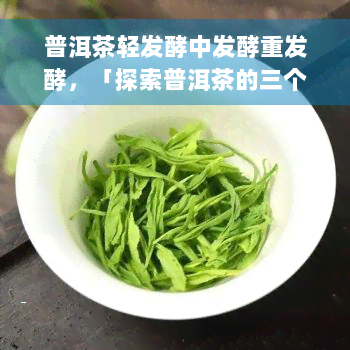 普洱茶轻发酵中发酵重发酵，「探索普洱茶的三个阶：轻、中、重发酵」