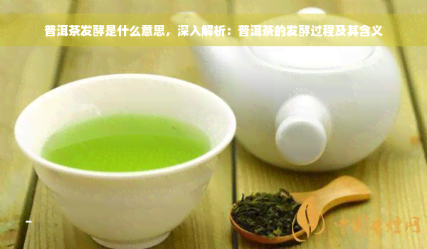 普洱茶发酵是什么意思，深入解析：普洱茶的发酵过程及其含义