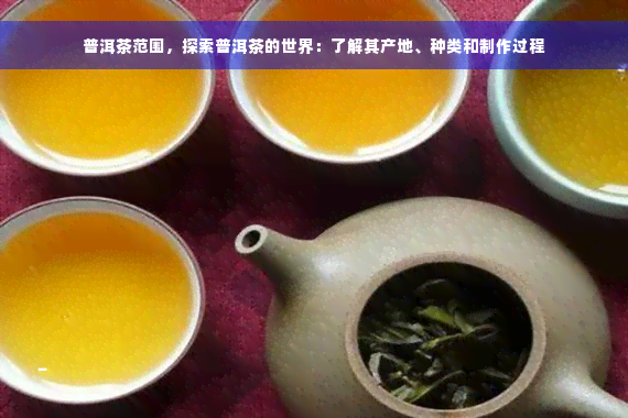 普洱茶范围，探索普洱茶的世界：了解其产地、种类和制作过程