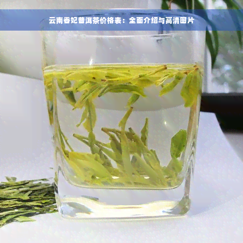 云南香妃普洱茶价格表：全面介绍与高清图片