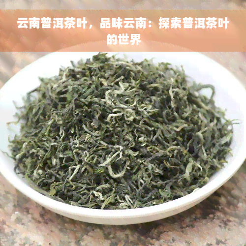 云南普洱茶叶，品味云南：探索普洱茶叶的世界